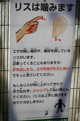 resize0090.jpg