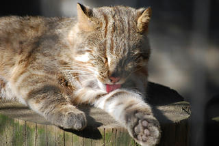 resize0118.jpg