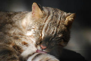 resize0115.jpg