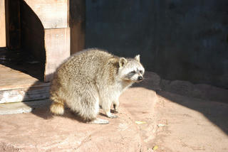 resize0144.jpg