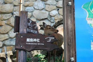 DSC_0862.jpg