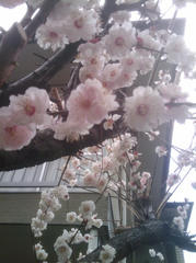 2011-03-23_11.25.54.jpg