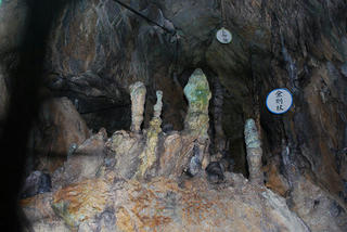 resize0262.jpg