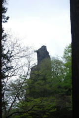 resize0271.jpg