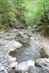 resize0267.jpg
