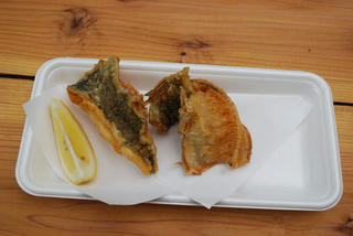 resize0284.jpg