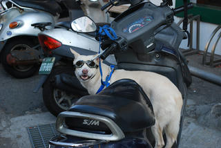 resize1029.jpg