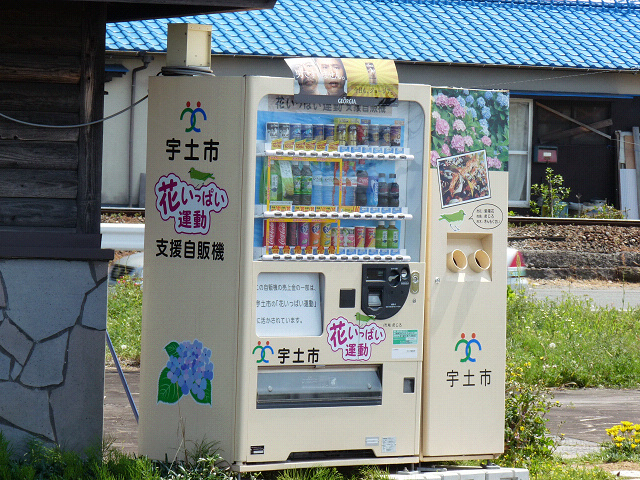 resize1565.jpg