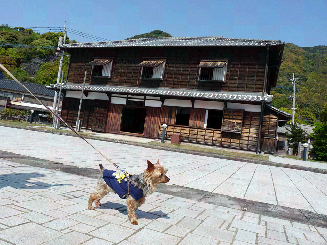 resize1579.jpg