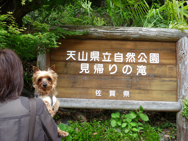 resize7535.jpg
