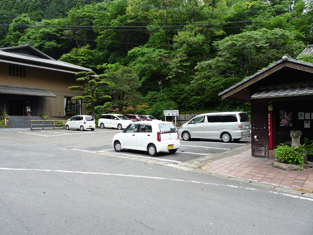 resize7541.jpg