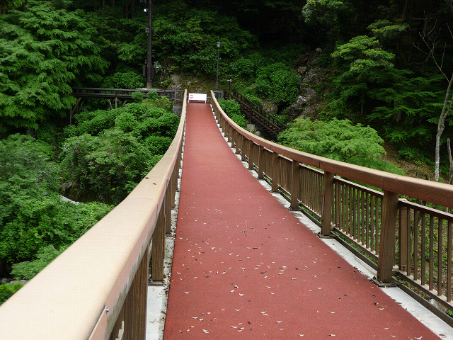 resize8035.jpg