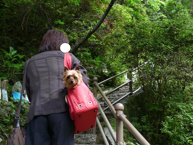 resize7490.jpg