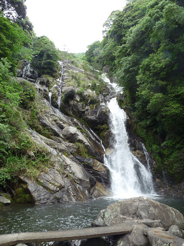 resize7811.jpg