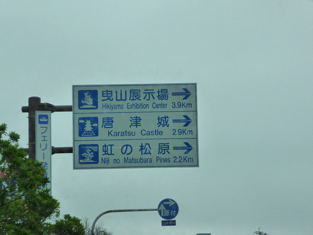 resize8181.jpg