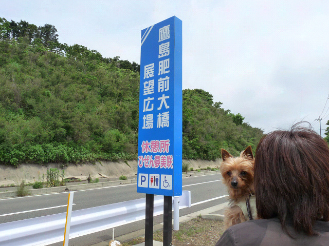 resize7593.jpg