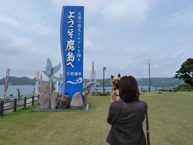 resize7620.jpg