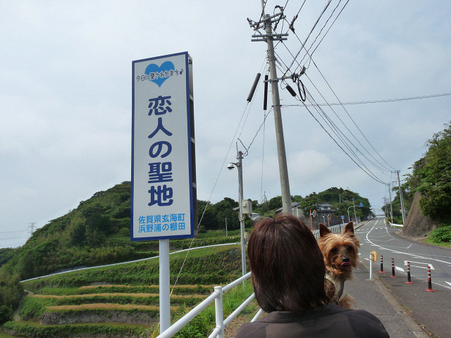resize7661.jpg