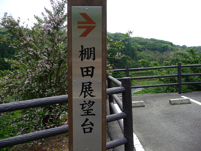 resize8385.jpg