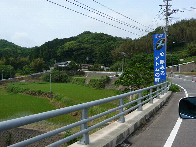resize8377.jpg
