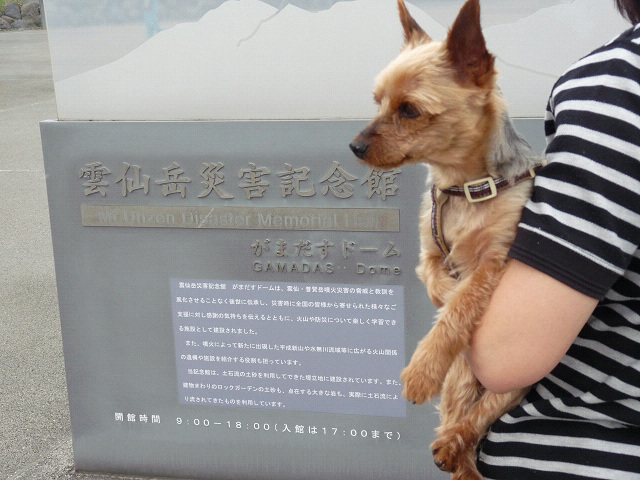 resize10807.jpg
