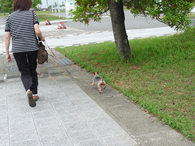 resize10820.jpg