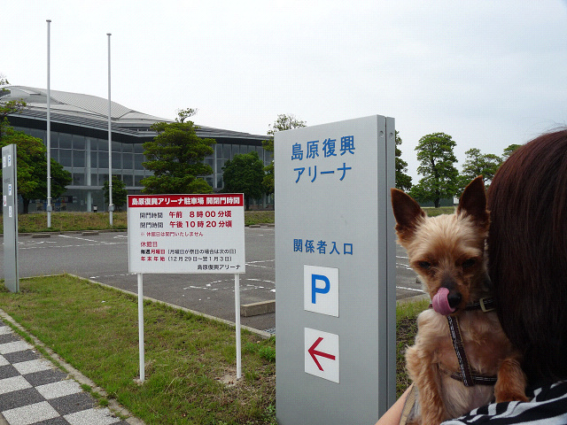resize10815.jpg