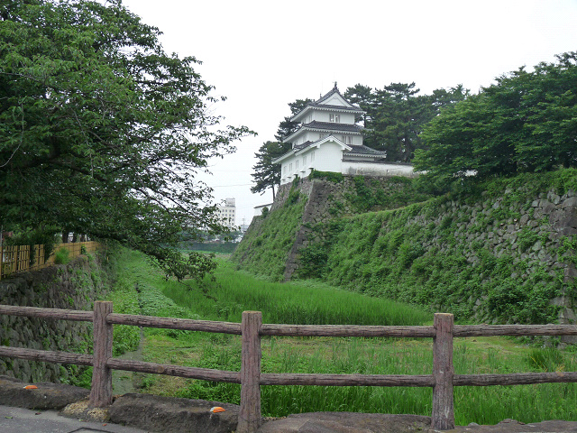 resize10796.jpg