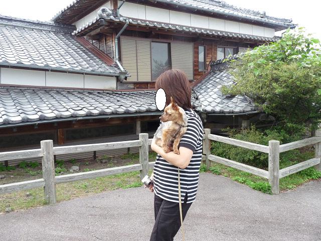 resize10850.jpg