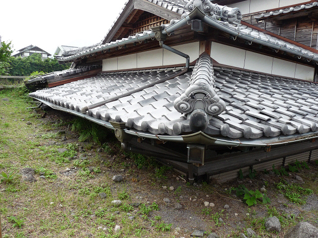 resize10853.jpg