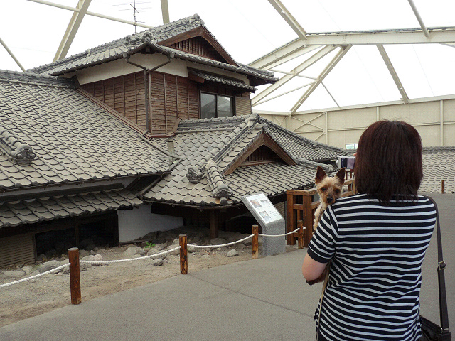 resize10863.jpg