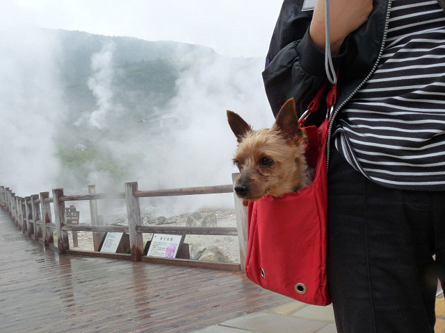 resize11151.jpg