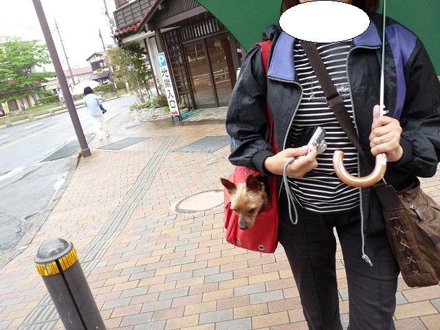 resize11139.jpg