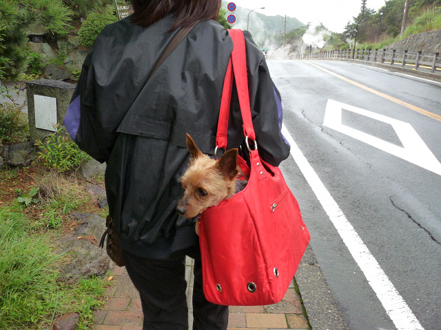 resize11144.jpg