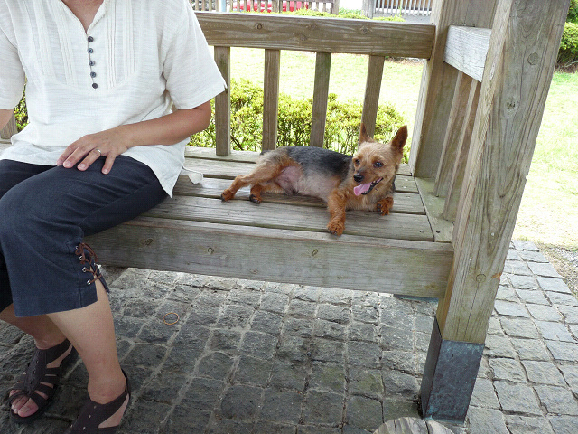 resize20547.jpg