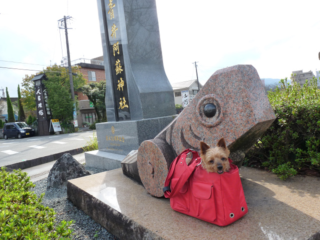 resize13229.jpg