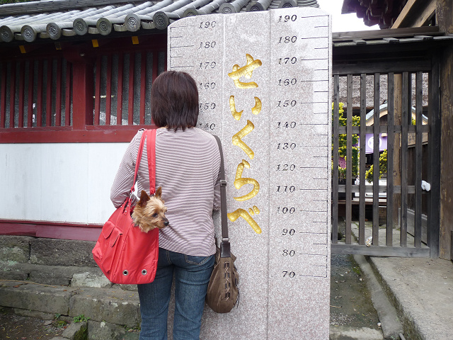 resize13190.jpg