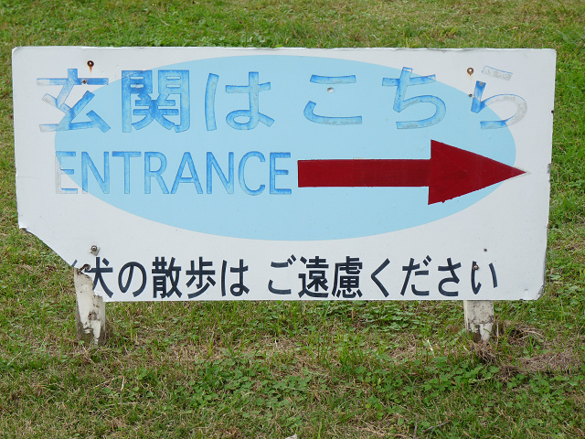 resize13305.jpg