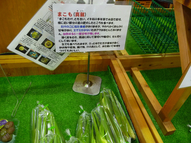resize38272.jpg