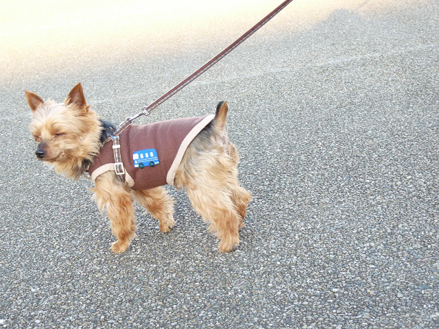 resize46764.jpg