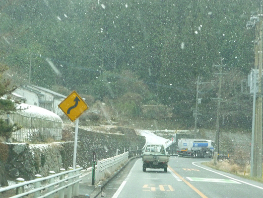 resize50582.jpg