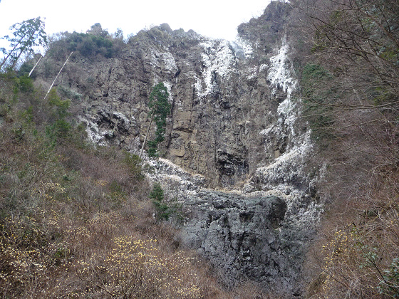 resize58738.jpg