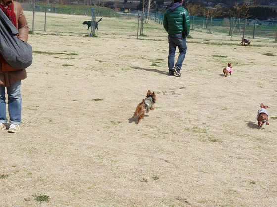 resize58248.jpg