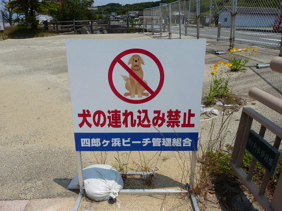 resize66469.jpg