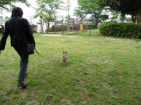 resize67048.jpg
