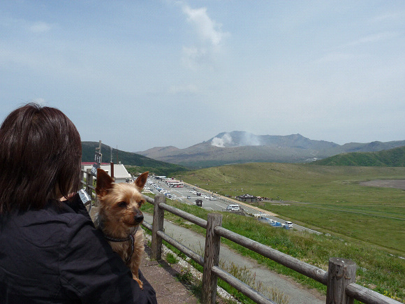 resize67340.jpg
