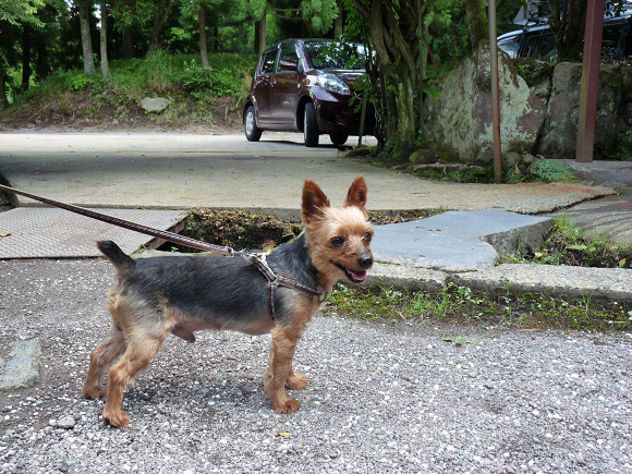 resize72032.jpg