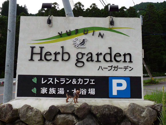 resize72190.jpg