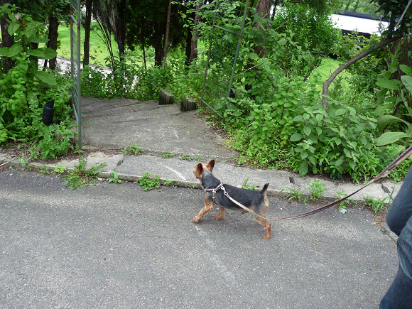 resize72171.jpg