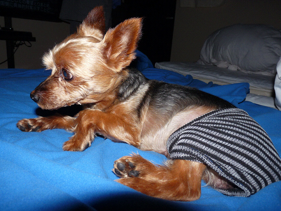 resize72307.jpg